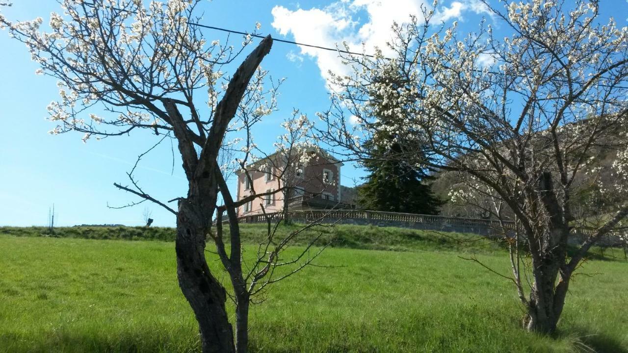 La Villa Du Collet La Penne Dış mekan fotoğraf